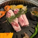 엔젤펫애견샵 이미지