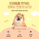 09-2  반려동물 수제간식 취.창업과정 | [펫푸드 자격증 후기] 반려동물 간식 만들기부터 창업 준비까지, 실습 중심 교육 후