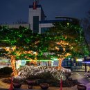 군청 앞 이미지