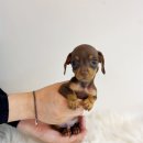 품안농장 이미지