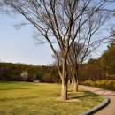 중앙공원 안 이미지