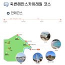 울진 여행 죽변해안스카이레일 후기