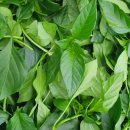 혜은농장 이미지