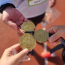 평화교통(주) | Dare Sunny #3. 운동습관 만들기_ 2025 손기정평화마라톤대회 10km 완주 후기