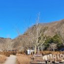 내장산국립공원화장실(야영장) 이미지