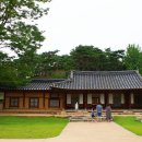 다산 메밀
