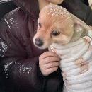 마동목장 | 광자는 강릉을 갔다왔어요