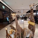 한사유치원 | 부산 신세계 센텀시티몰 한사토이 매장 방문 후기 [HANSA TOY]
