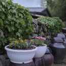 하동 730 이미지