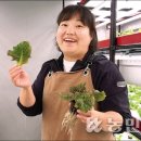 양승주농장 농민신문