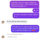 궁디팡팡 지구별고양이 당근 숨숨집 당근집 후기 | 무너져버린 당근집 고양이 숨숨집 추천