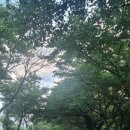 스테이지리산아침 이미지