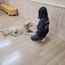 우림초등학교 이미지