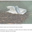 얼마나 급했으면…무안 사고기 기장 &#39;2000쪽&#39; 매뉴얼 손으로 뜯었다 이미지