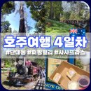 장익는마을 | 호주 멜버른 여행 4일차 "퍼핑빌리&amp;사사프라스" 반나절 투어 후기 (미스마플스티룸 스콘 후기)