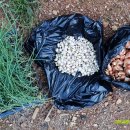 고실농장 이미지