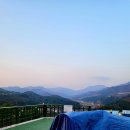 멍펜션10 | 개별운동장이 넓은 가평 독채 애견펜션 '멍펜션' 🐶(F10동 후기)