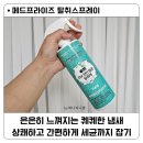 프라이즈 | 탈취스프레이 메드프라이즈 후기 / 악취제거제 천연 탈취제추천