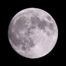 Sooper Moon 이미지