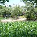 현대민박 이미지