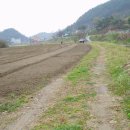 배내미로 이미지