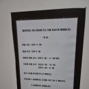 들꽃이 있는 바다 이미지