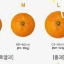 영후농장 이미지