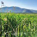 나무와창 이미지