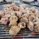 산꼼장어 이미지