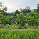 청산한옥계곡펜션 | [문경독채펜션] 청산한옥계곡펜션에서 자연을 담은 힐링 하루