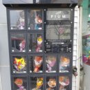 망고뽑기방 이미지