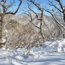 덕유산 종주(북덕유산에서 남덕유산까지) 이미지