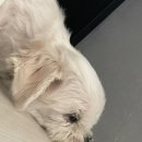 냠냠쩝쩝 이미지