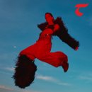 시엘로(cielo) 이미지