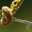 영어생활회화 이미지