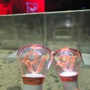 [공지] 230401 레드벨벳 콘서트 RtoV 첫콘 후기