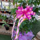 오천당구장 이미지