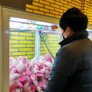 토이N조이 이미지