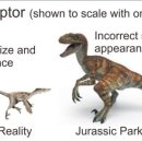 벨로시랩터 이미지