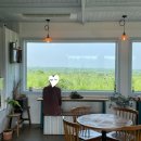 [제주도 구좌읍 카페] 카페 편린_ 비자림 근처 카페 추천