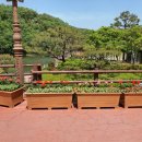 뿌리공원 이미지