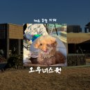 조천 산책로화장실 | [제주/카페] 오우너스원 • 제주 동쪽 카페 • 조천 애견동반 카페