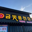 금빛장어 이미지