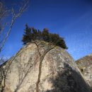 구름열매 이미지