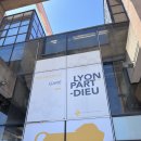 제토산업 | 제네브아와 함께한 3박 4일 리옹, 제네바 당일치기 🦢