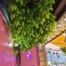 메가커피 용화점 이미지