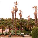 주식회사 농원 이미지