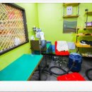 제주 헬로우펫 이미지