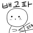 리도사