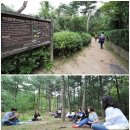 서울 도심 속에 이렇게 훌륭한 숲이 있다니! 이미지